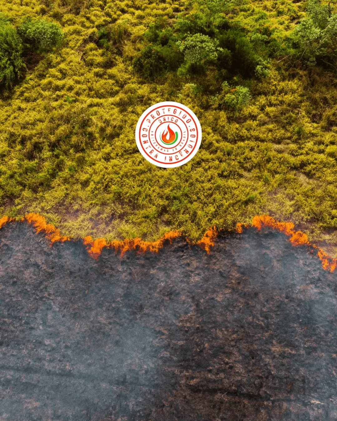 Imagem de fundo do serviço Proteção Florestal/Agronegócio